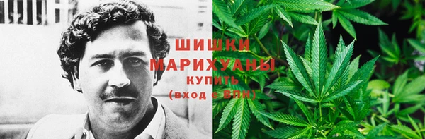 сатива Алексин